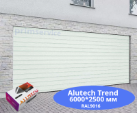 Секционные гаражные ворота ALUTECH Trend 6000×2500 с автоматикой