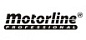 Motorline автоматика для ворот